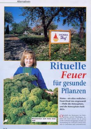 2001-02, Natürlich Gärtnern, Rituelle Feuer für gesunde Pflanzen